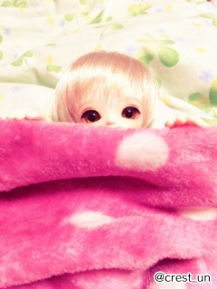 �h�[������